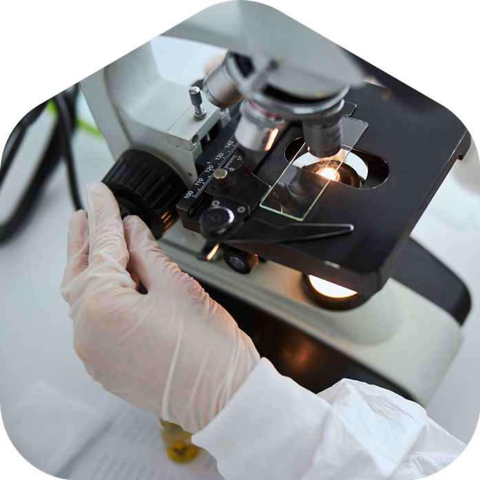 Safe Testing Asbestos Testing Kits | USA's #1 Test Kit Provider – Asbestos-Sampling.com