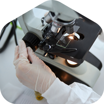 UK's #1 Asbestos Testing Kit - Asbestos-Sampling.com